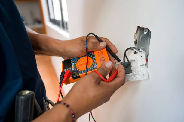Best Electric Panel Repair  in Walcott, IA