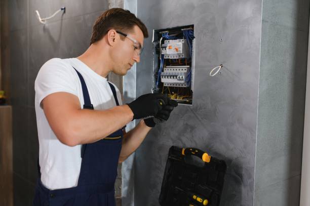 Best Affordable Electrician  in Walcott, IA