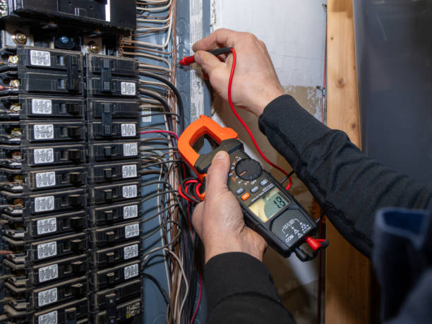 Best Generator Installation Services  in Walcott, IA